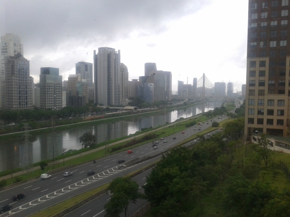 20131123 rio Pinheiros y vista de Sao Paulo